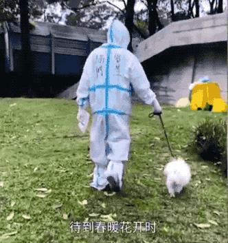 DƬ